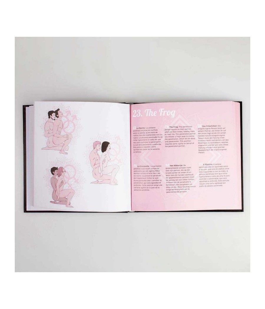 Kamasutra livre des positions - Secret play