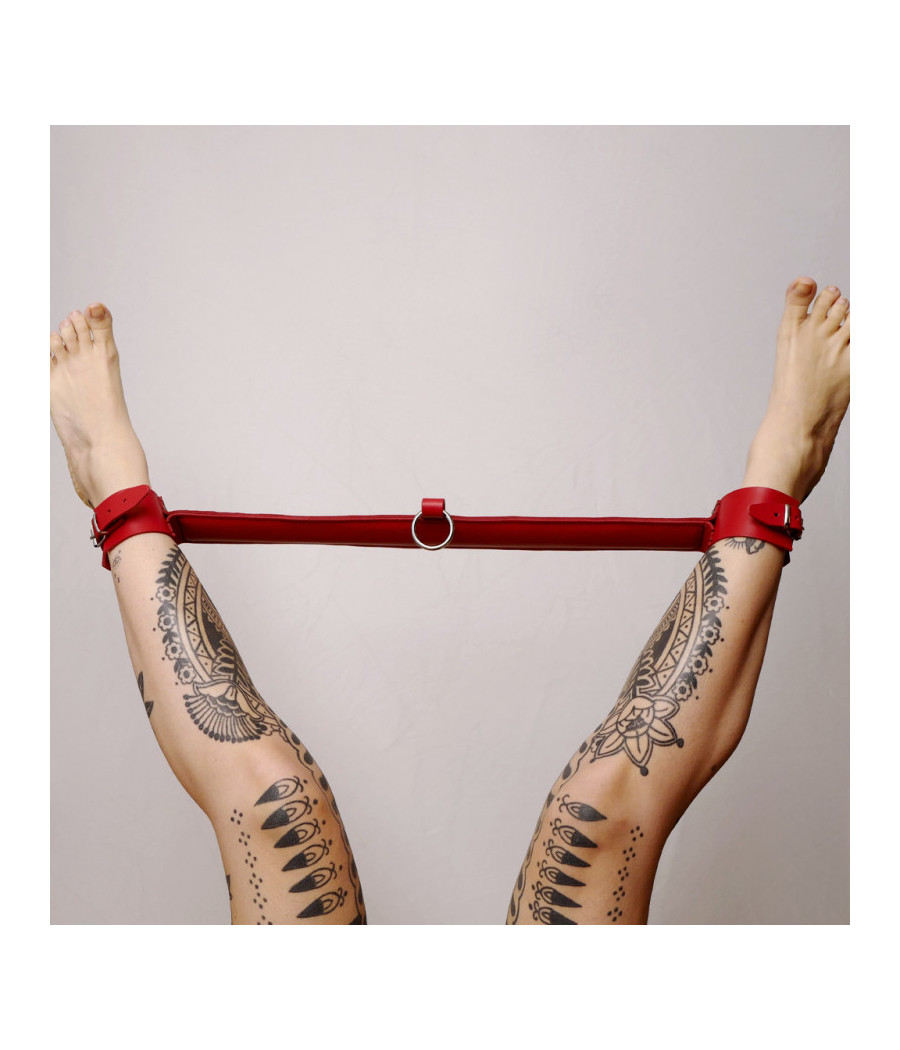 Barre de contrainte cuir et anneau Rouge