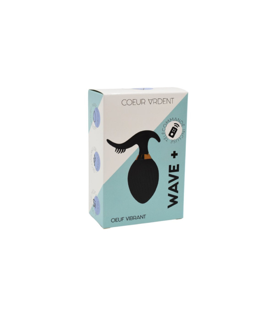 WAVE , Un Œuf vibrant noir USB avec stimulation clitoridienne, doté d'une télécommande 